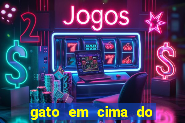 gato em cima do telhado significado espiritual